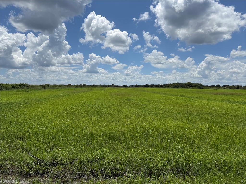 40 +/- acres of cleared land, minutes from the entrance to Gerber Groves. This property is zoned Ag-2, which allows agricultural or residential use. The canal at the south end of the property is available for irrigation and serves as a natural border to the property. Besides citrus, many small farms in the area are growing row crops and tropical fruit (lychee, mango, dragon fruit, passion fruit, etc.). Approximately 1 hour from RSW, and 45 minutes from I-75  via SR 29 in Immokalee or SR 80 in Fort Myers. Property is in the Gerber Water District and subject to the Water District tax which is collected by the Hendry County Tax Collector and is used to maintain the roads, canals, and employ security. The roads are private and monitored by a security guard to prevent trespassing.