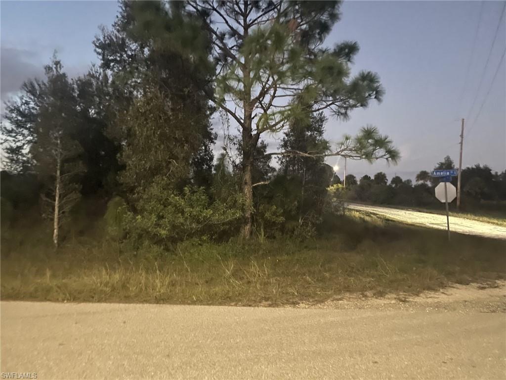 LEHIGH ACRES - Land