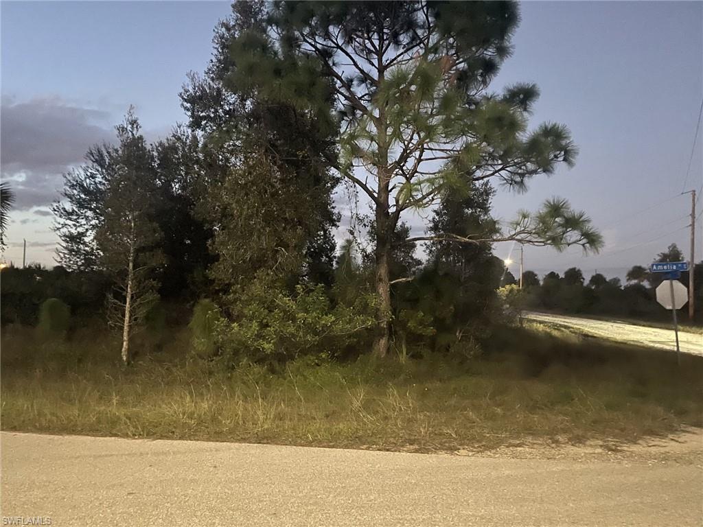 Huge reduce price to sell quicly! Oversized lot and excellent opportunity to buy and build your dream home or invest in a location that is growing and developing. Quiet road but only minutes to dining, shopping, schools and SR 82 & I-75. The lot is corner, in paved road and there are neigboors already. Will you have enough room for endless possibilities. Hurry up, dont lose this opportunity!