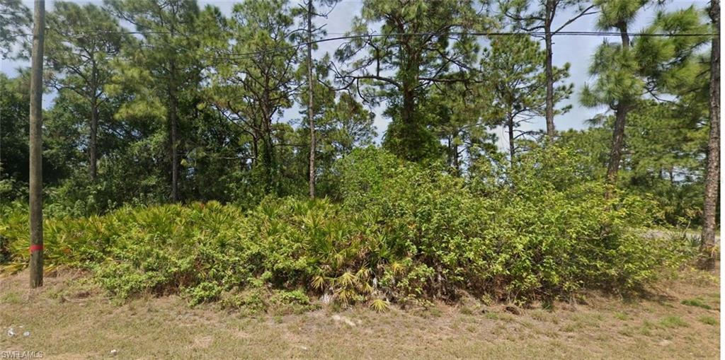 LEHIGH ACRES - Land