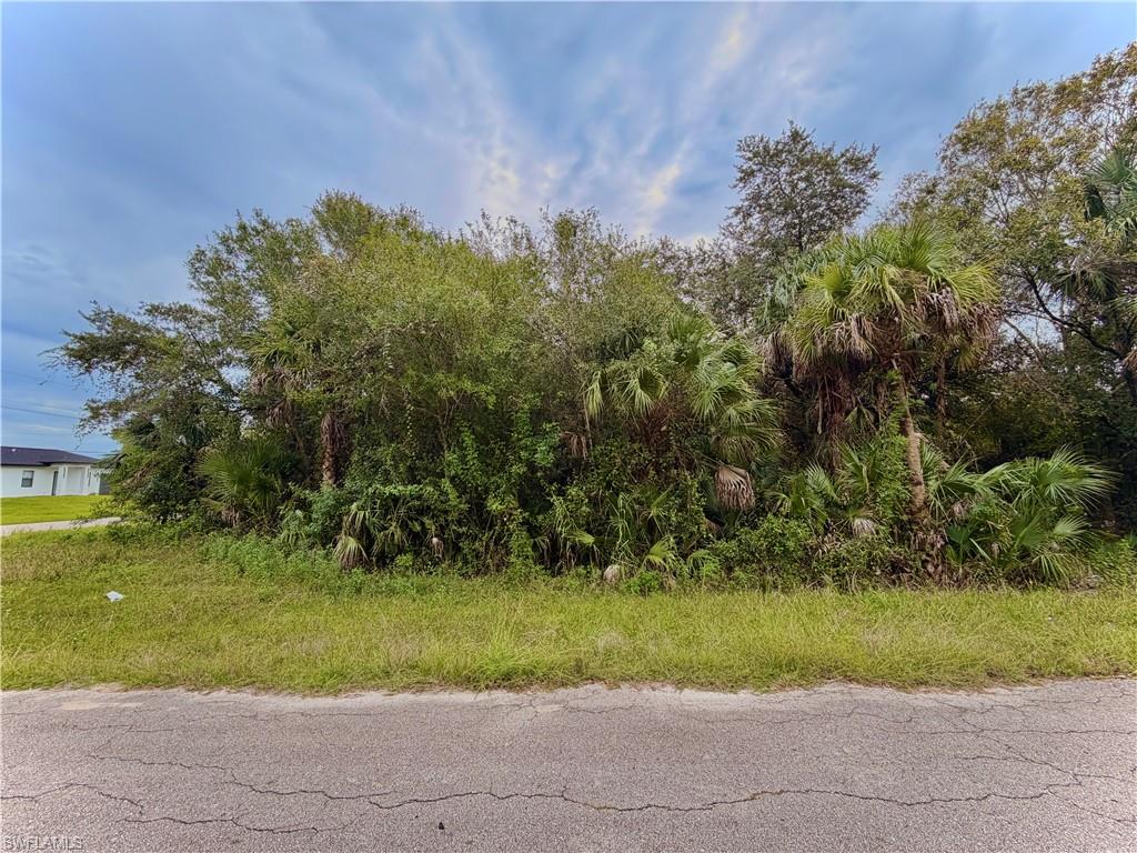 LEHIGH ACRES - Land