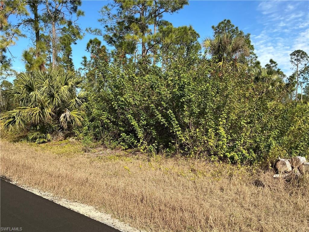 LEHIGH ACRES - Land