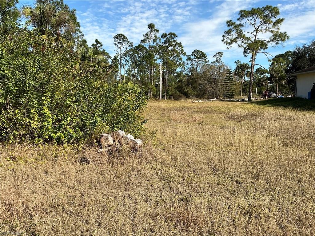 LEHIGH ACRES - Land