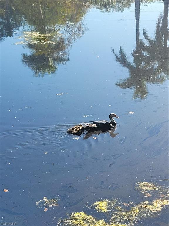 LAKE FOREST - Residential