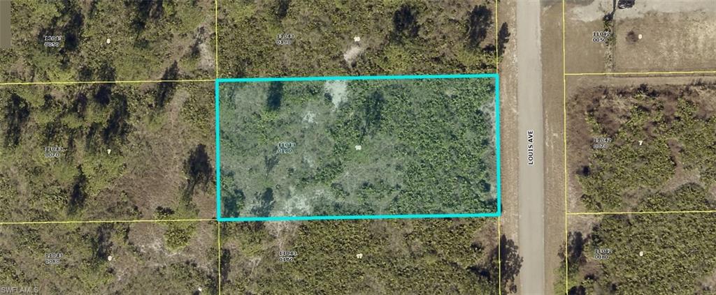 LEHIGH ACRES - Land