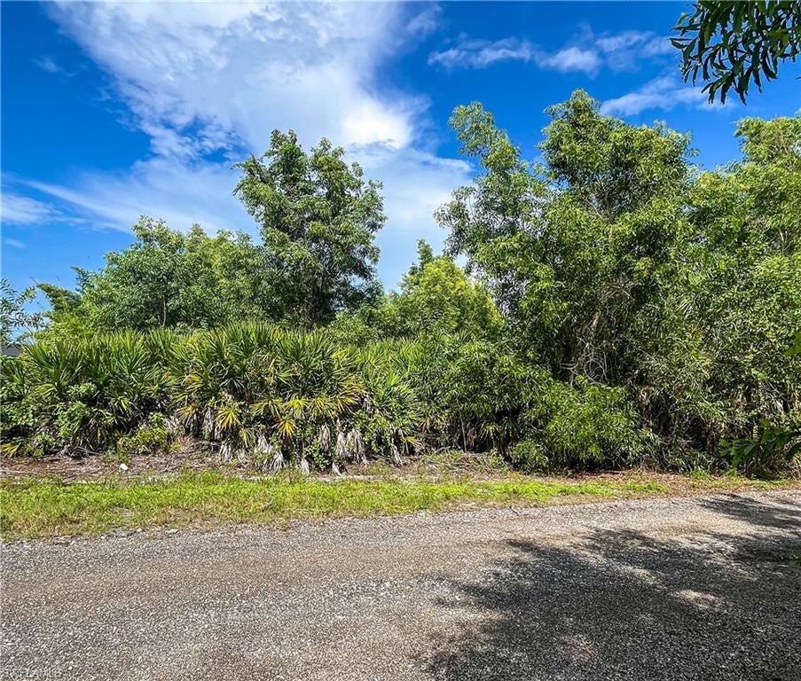 KREAMERS AVOCADO SUBD - Land