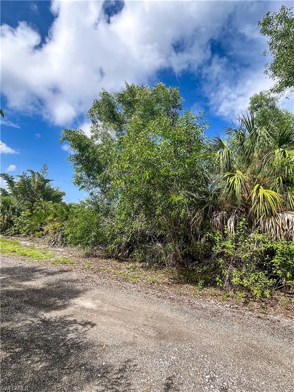 KREAMERS AVOCADO SUBD - Land