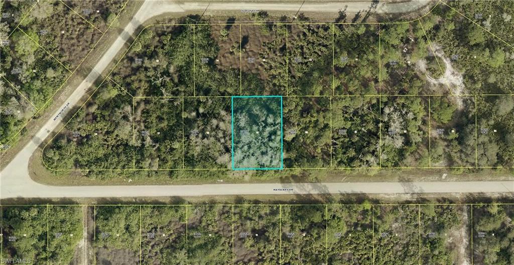 LEHIGH ACRES - Land