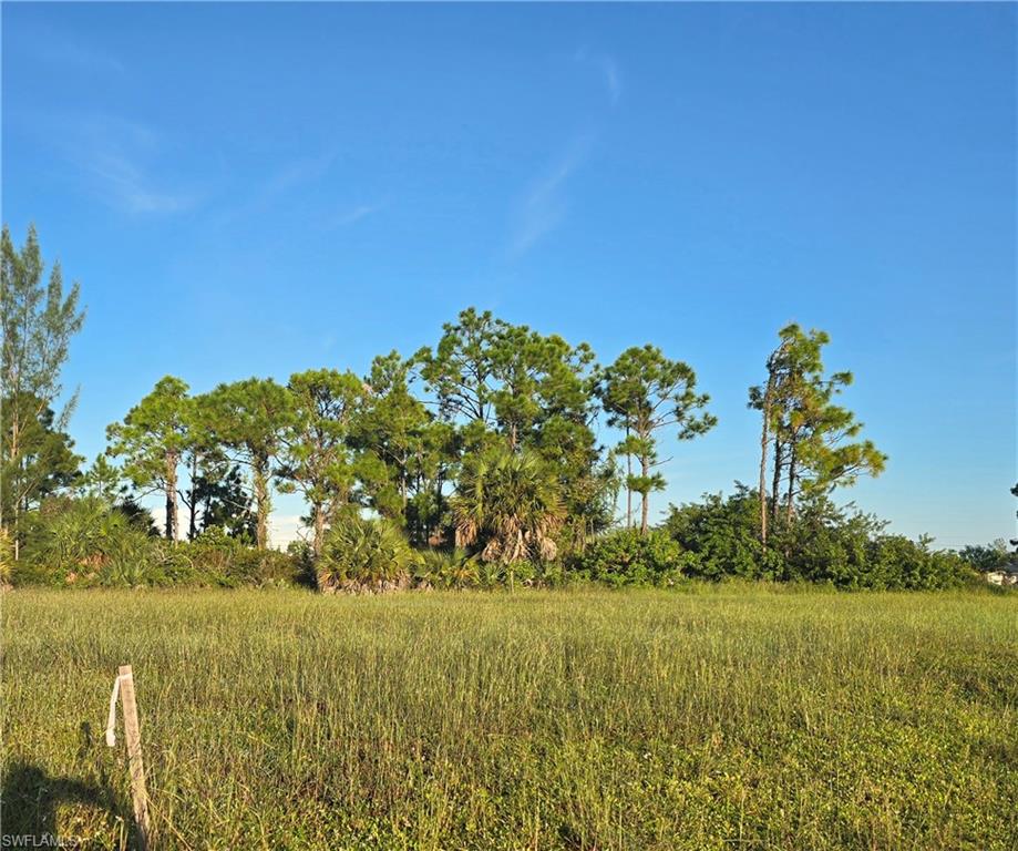 CAPE CORAL - Land
