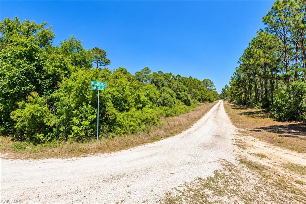 For those who value privacy and a quieter setting, this property offers the opportunity to create a personal retreat away from the congestion of more densely populated areas. Enjoy the appeal of a laid-back community while maintaining the freedom to make the property your own.

An excellent opportunity to build your future home or invest in land with no HOA restrictions or fees! This vacant residential lot offers access to water and electricity, with options for modular, manufactured, or conventional construction homes.

This property allows the flexibility of creating a residence that fits your needs in an area known for its beautiful lakes, natural surroundings, and relaxed Florida lifestyle. Whether you're ready to build or looking to expand your real estate investment portfolio, this property offers plenty of potential.