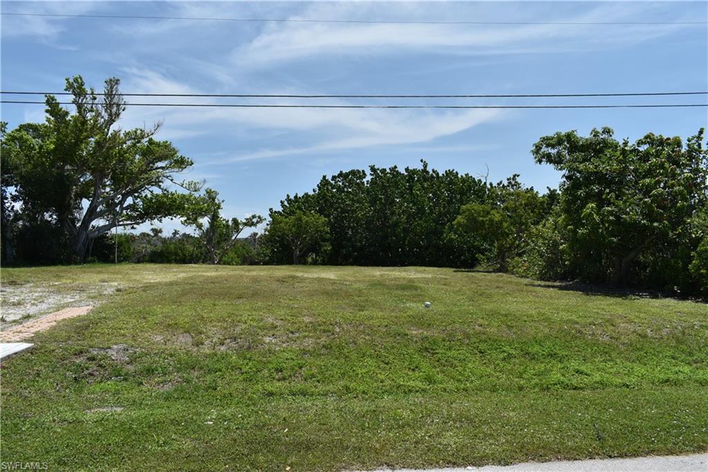 EAST ROCKS - Land