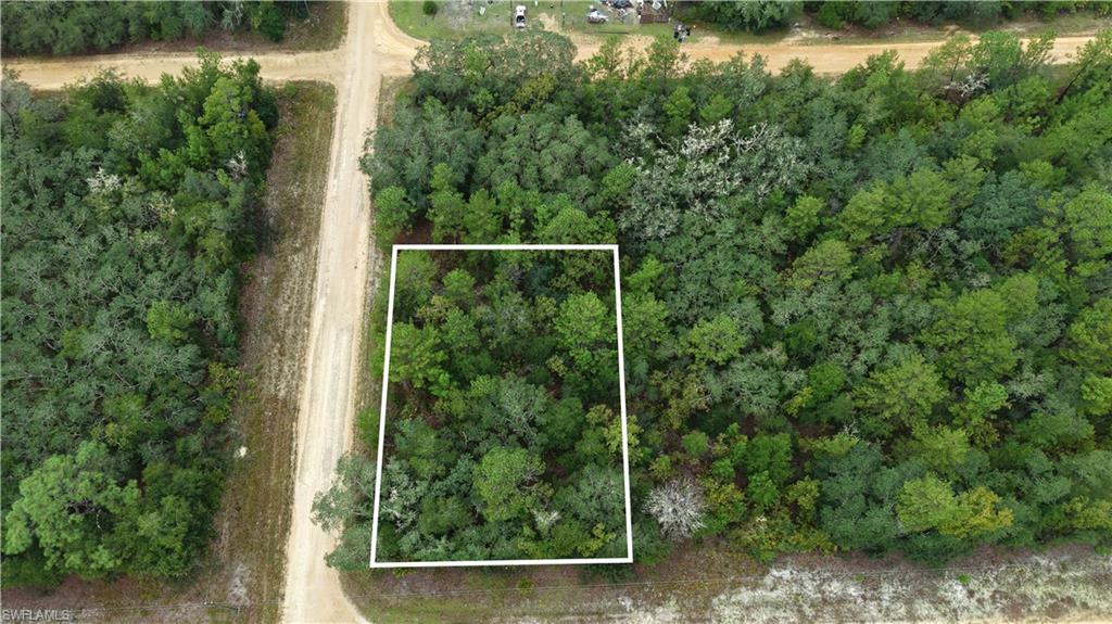 Beautiful 0.22-acre residential land opportunity on Selma Ave in Interlachen, Putnam County, offering approximately 9,583 square feet in an established residential area surrounded by natural scenery. The property benefits from a location with convenient access to local parks, nearby waterways, and the amenities of the surrounding community, making it an appealing option for buyers seeking a future homesite or a long-term land investment in North Florida.

With its residential setting and proximity to outdoor recreation, this parcel offers an opportunity for buyers looking to plan and develop a property according to their needs, subject to applicable zoning regulations, site conditions, and development requirements. The lot is not cleared, allowing prospective buyers to assess the existing vegetation and plan any site preparation based on their intended use.

The property is zoned 00/Vacant Residential. Buyers should independently verify permitted uses, building requirements, setbacks, minimum lot dimensions, utility availability, legal access, and applicable development standards with Putnam County before purchasing.

The property is located in Flood Zone X. Buyers should independently verify the current flood zone designation and any applicable building or insurance requirements.

Parcel ID: 240924407503700190. Buyers should confirm parcel boundaries, access, utilities, zoning, and all property details with the appropriate local authorities before purchase.