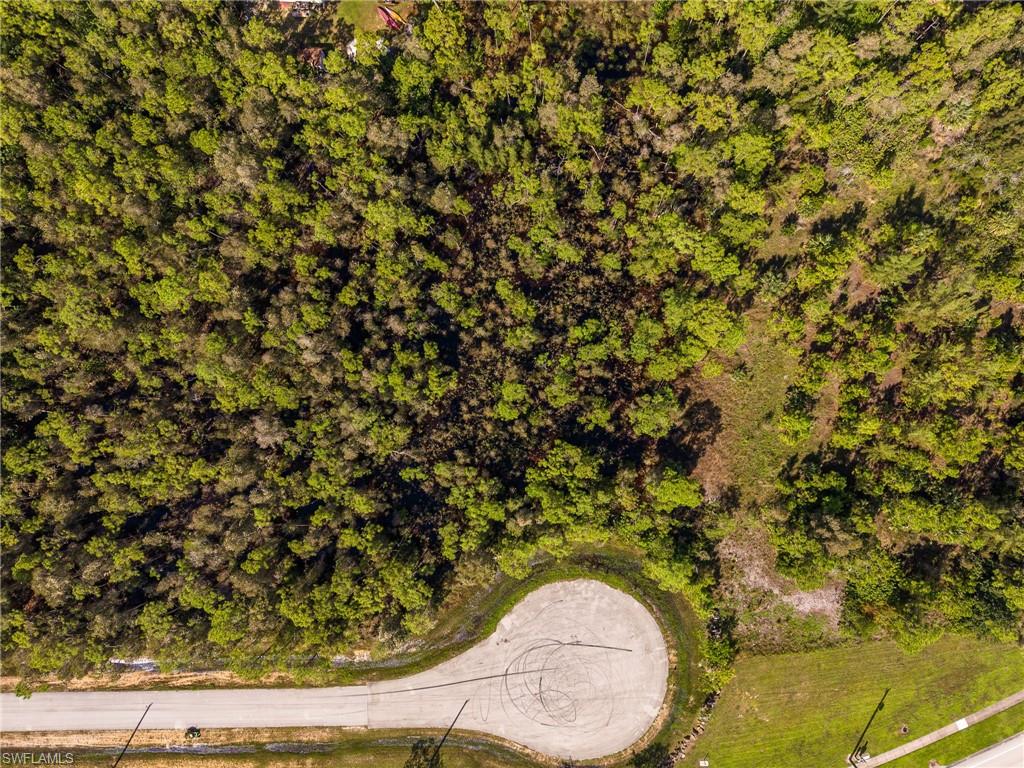 SAN CARLOS ESTATES - Land