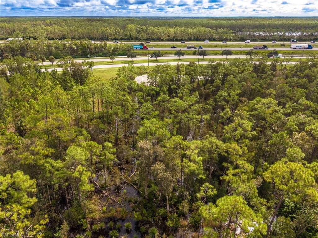 SAN CARLOS ESTATES - Land