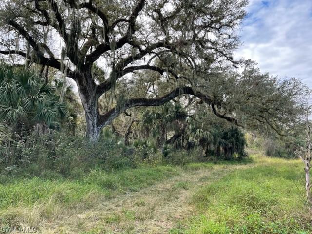Beautiful 54.09 +/- acre creekfront property in rural, but convenient, location. Formerly orange grove but recently cleared except for the grandfather oaks and cypress trees. Bordered by Jack's Branch to the south and surrounded by large homesteads (10+ acres), ideal for someone seeking a quiet country lifestyle. Zoned A-2 so it will work for most agricultural uses as well as a home(s) site. The parcel outlined is approximately 54.09 acres with two different PID numbers (a survey will be required). There is an old mobile home, barn, electric and a well located on southeast part of the property. Seller may consider dividing. Located 10 minutes from shopping, restaurants, and schools in LaBelle. Approximately 25 minutes from I-75 exit 141, 30 minutes from Fort Myers/Babcock Ranch, 45 minutes from Southwest Florida International Airport (RSW), and 2 1/2 hours from Miami. This is the ideal location to escape the over-crowded cities while still being close to everything you need!