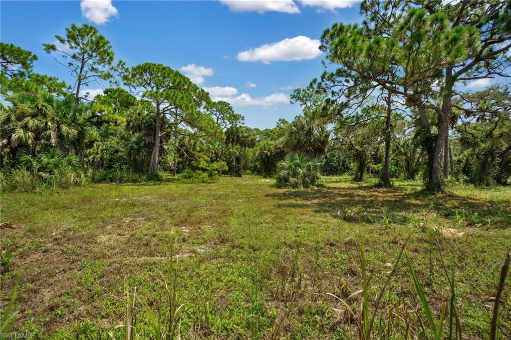 BONITA SPRINGS - Land