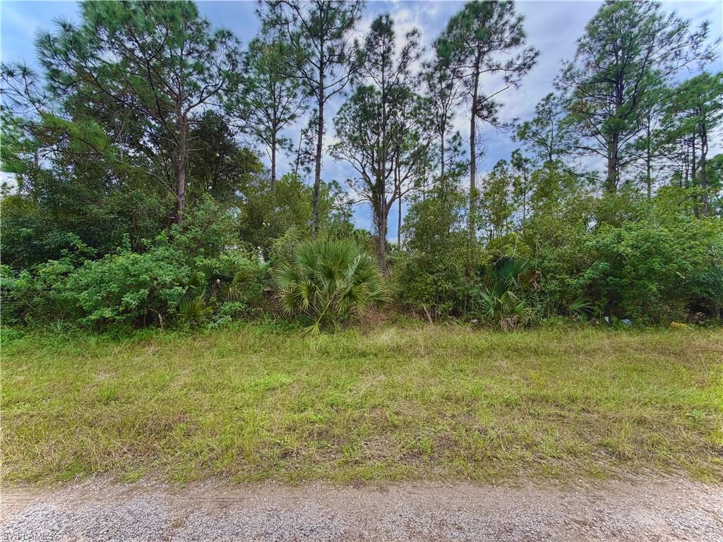 LEHIGH ACRES - Land