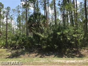 Beautiful upland 2.5-acre homesite located in the highly desirable Weber Woods community. As one of the few remaining vacant lots available, this property offers an excellent opportunity to build your dream home in an area experiencing significant new construction growth. Situated on a street lined with attractive newer residences, the location provides convenient access to Collier Boulevard (951), I-75, shopping, dining, and Southwest Florida's beautiful Gulf beaches. Enjoy the privacy and space Weber Woods is known for while remaining close to all that Naples has to offer.