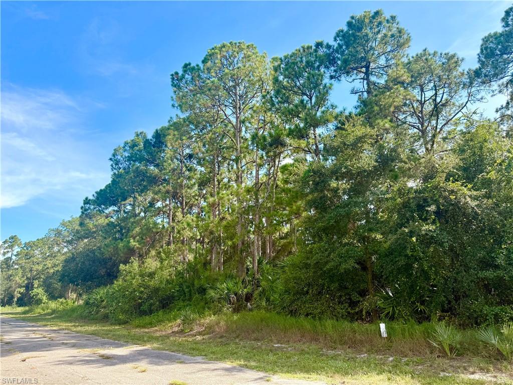 BANYAN VILLAGE - Land