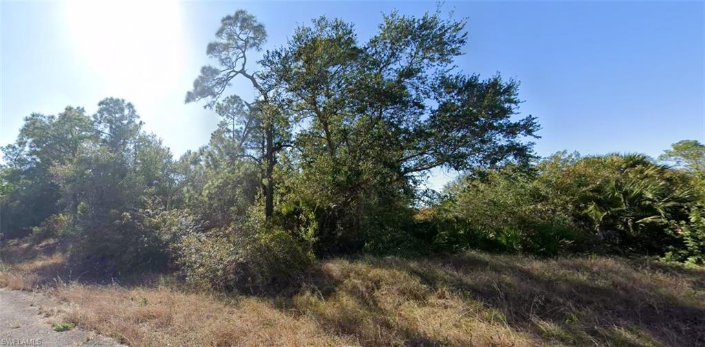 LEHIGH ACRES - Land