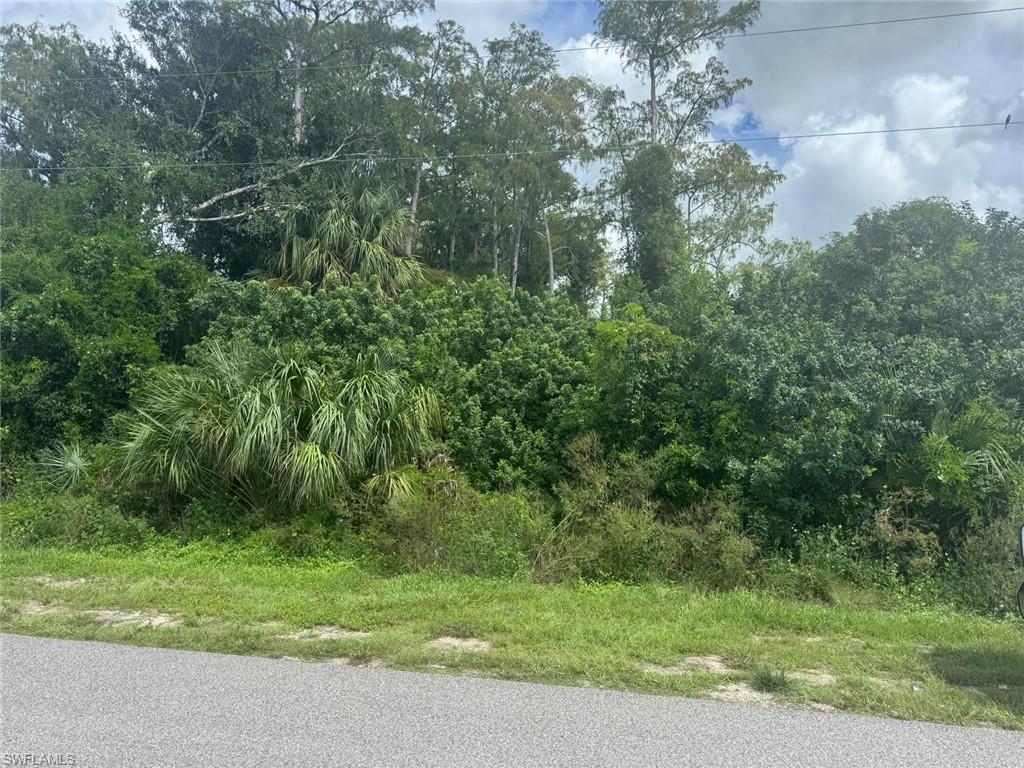 LEHIGH ACRES - Land