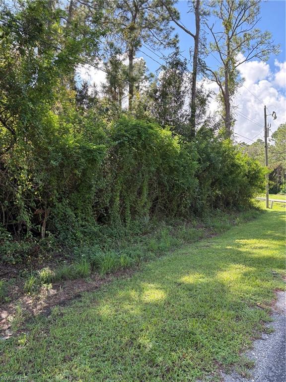 Neighboring half acre lots nestled in the quiet rural community of Alva. Looking for peace, serenity and nature while still being close to SR80 and in proximity of amenities. Combine this lot with 2008 Johns and you can enjoy an acre. This is the ideal location to build your home.