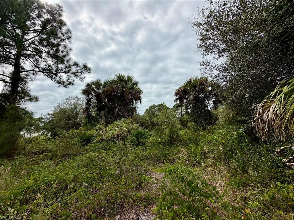 MONTURA RANCH ESTATES - Land