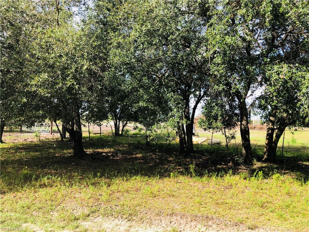 ACREAGE - Land