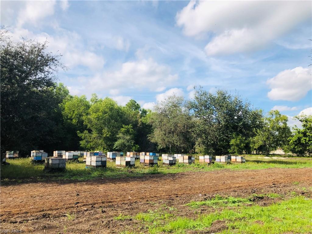 ACREAGE - Land