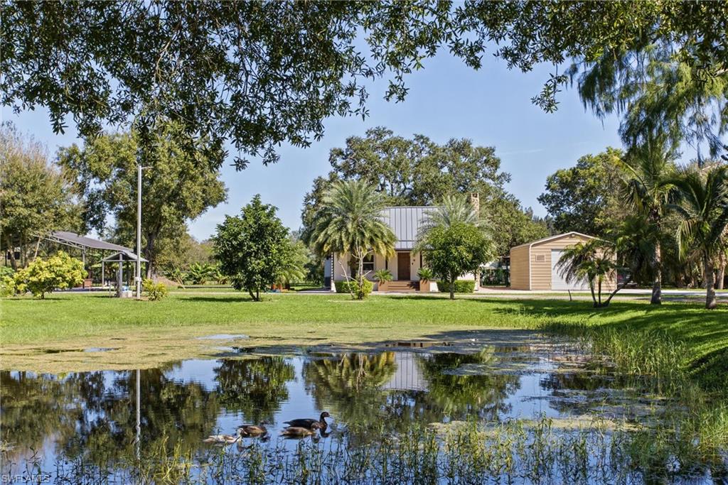 Beautiful 4-Bedroom, 3-Bath Country Estate on 2.68 Acres in Clewiston, FL!
Discover the perfect combination of country charm, privacy, comfort, and functionality on this exceptional 2.68-acre property. Surrounded by majestic mature trees, lush tropical landscaping, and beautiful country-style wooden fencing, this charming residence offers a peaceful retreat with expansive outdoor spaces and an abundance of desirable features.

Inside, the home features 4 spacious bedrooms, 3 bathrooms, and a charming fireplace, creating a warm and inviting atmosphere perfect for relaxing and enjoying quality time with family and friends. A security camera system installed throughout the property provides additional convenience and peace of mind.
One of the property’s most remarkable features is its established tropical fruit orchard, boasting an impressive variety of producing fruit trees, including mangoes, coconuts, guavas, lychees, avocados, mamey sapotes, lemons, oranges, bitter oranges, breadfruit, loquats, nance, star apples, green apples, and sugar apples (sweetsops). Enjoy the exceptional opportunity to harvest fresh tropical fruits right from your own backyard!
The grounds feature a complete sprinkler irrigation system supported by two water well systems, providing a practical and efficient solution for maintaining the beautiful landscaping, fruit trees, and surrounding acreage.
Designed for outdoor enjoyment and entertaining, the property offers a spacious covered porch, inviting gathering areas, and plenty of room for recreation. Additional amenities include a convenient outdoor bathroom, a covered barn-style canopy, and attractive country-style wooden fencing, enhancing both the property’s functionality and rustic appeal.
The durable metal roof complements the home’s distinctive country character, while the expansive 2.68-acre lot provides ample space for gardening, outdoor activities, equipment storage, and future possibilities.
Whether you’re searching for a private countryside retreat, a tropical fruit-growing paradise, or a spacious family residence surrounded by nature, this exceptional property offers a rare combination of comfort, character, and versatility.
Experience the charm of country living with modern conveniences, exceptional outdoor amenities, and the freedom of 2.68 acres—all just minutes from Clewiston, Florida!