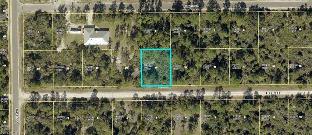 LEHIGH ACRES - Land