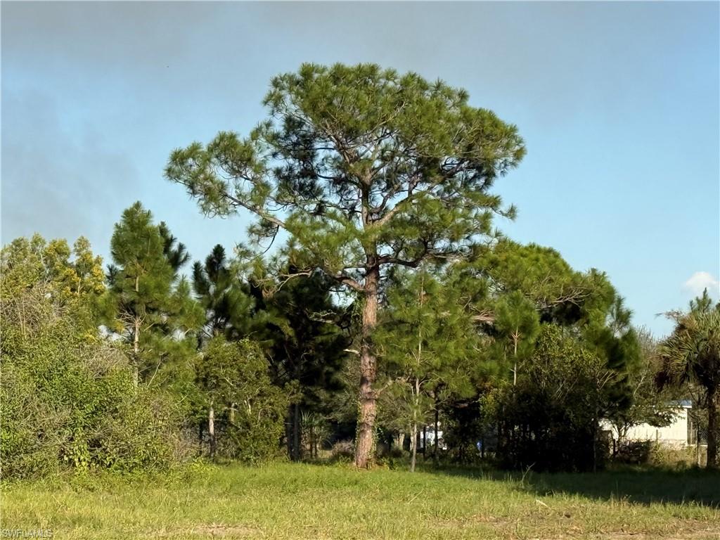 MONTURA RANCH ESTATES - Land