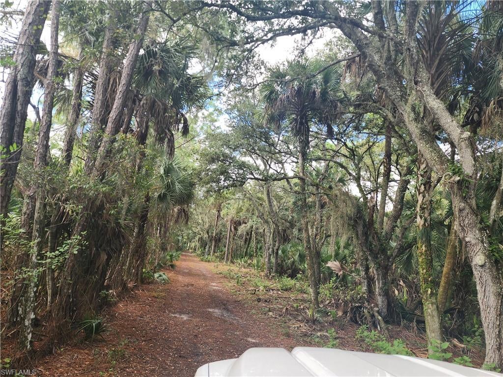 CLEWISTON - Land