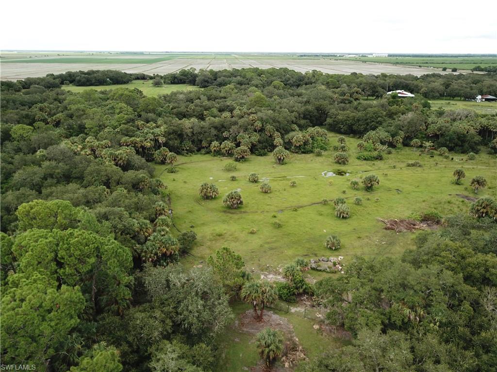 CLEWISTON - Land