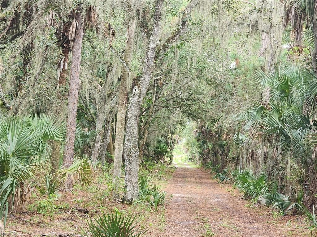 CLEWISTON - Land