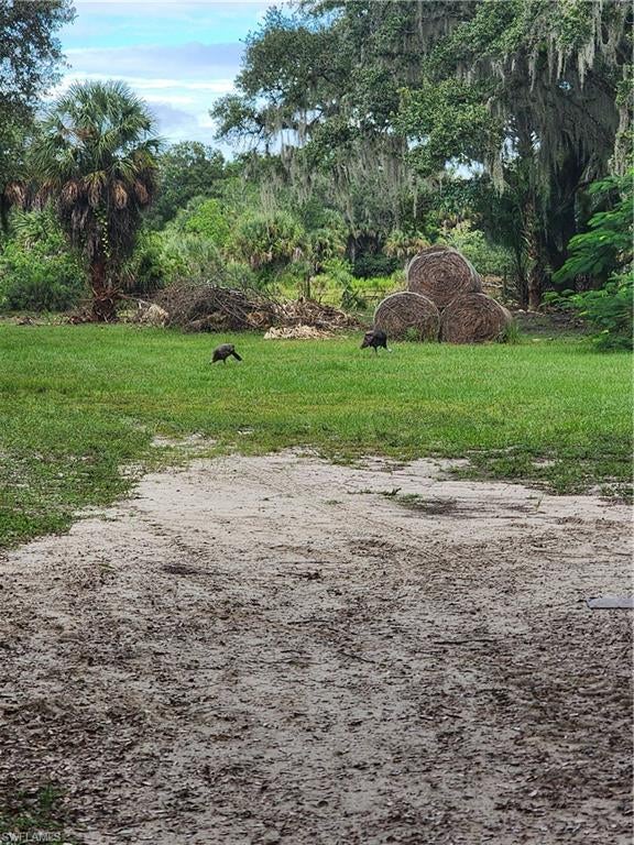 CLEWISTON - Land