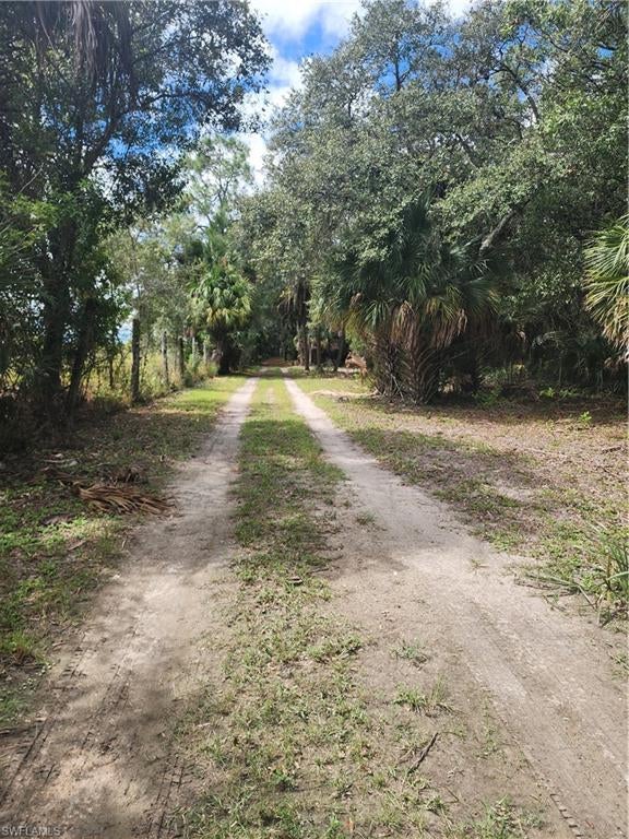 CLEWISTON - Land