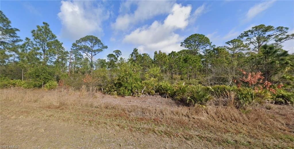 TROPICAL GULF ACRES - Land