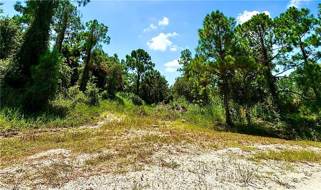 GREAT LOCATION nestled away on a quiet street Just minutes from major amenities with a quick commute to Fort Myers! Come build your DREAM HOME or INVEST today.
