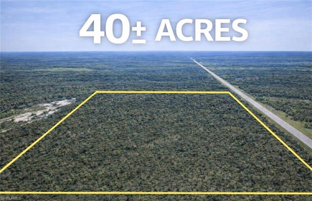 PUNTA GORDA - Land