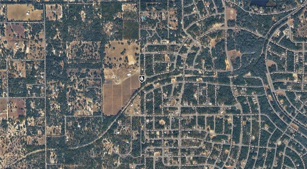 CITRUS SPRINGS - Land