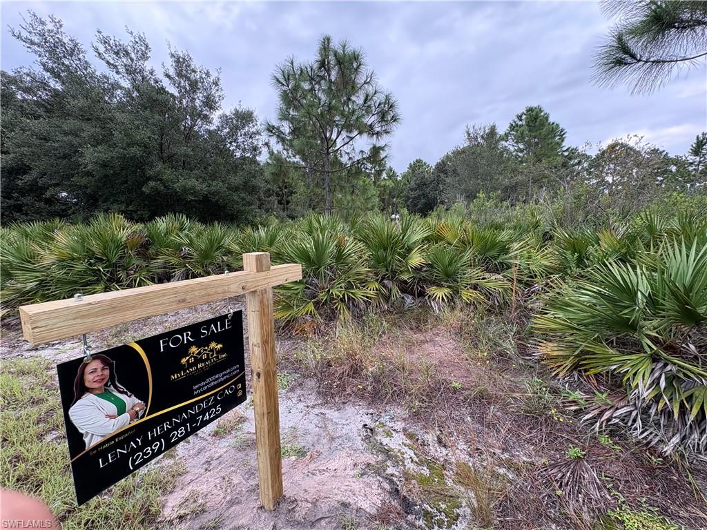 LEHIGH ACRES - Land