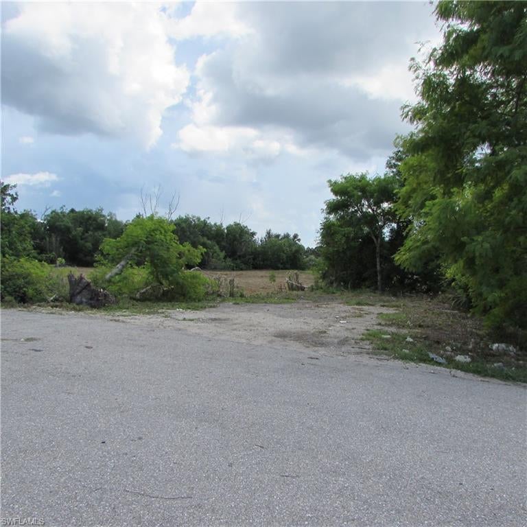 PINE ISLAND CENTER - Land