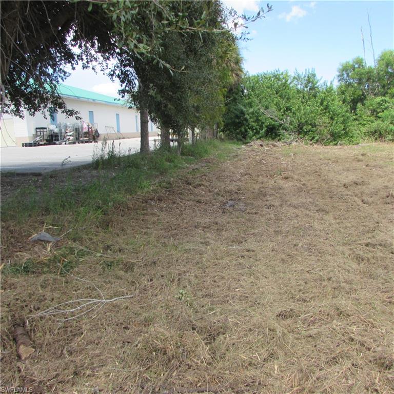 PINE ISLAND CENTER - Land