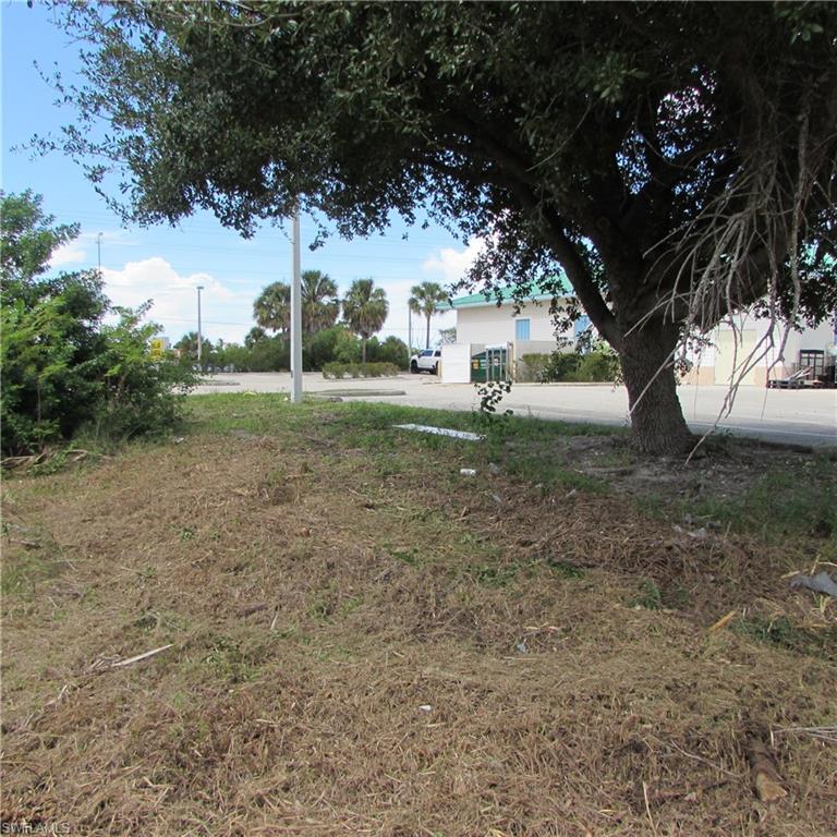 PINE ISLAND CENTER - Land