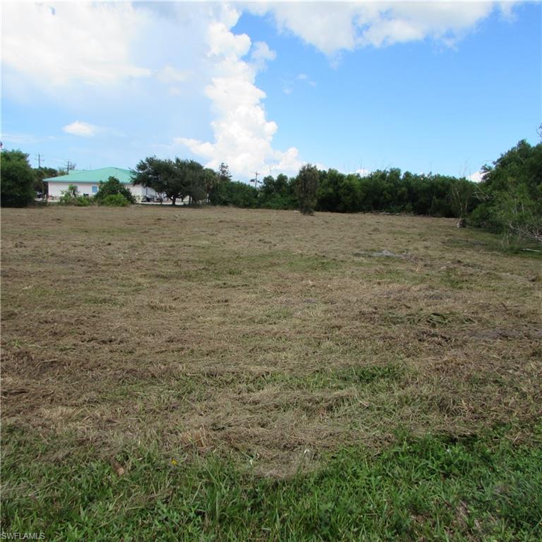 PINE ISLAND CENTER - Land