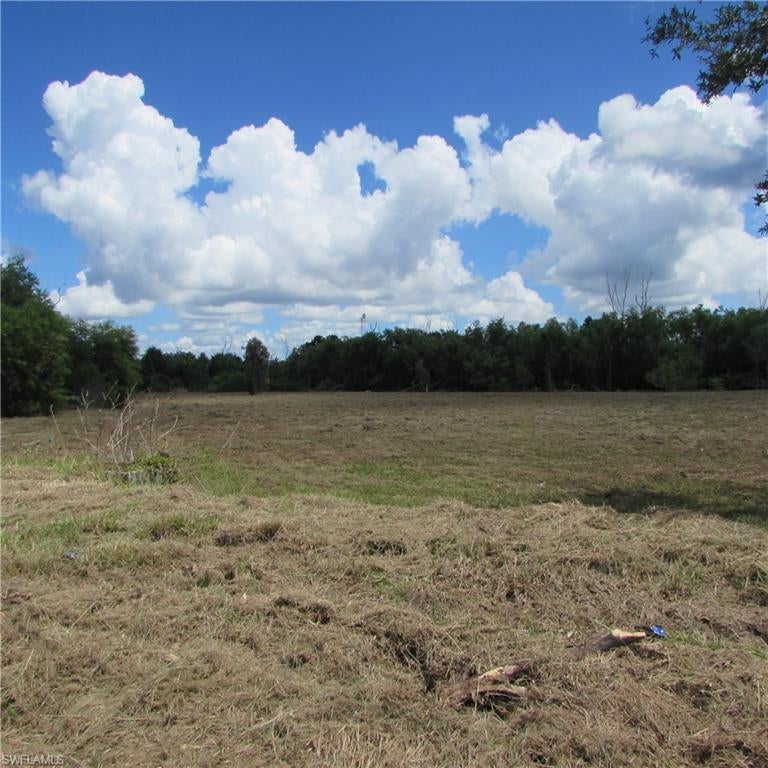 PINE ISLAND CENTER - Land
