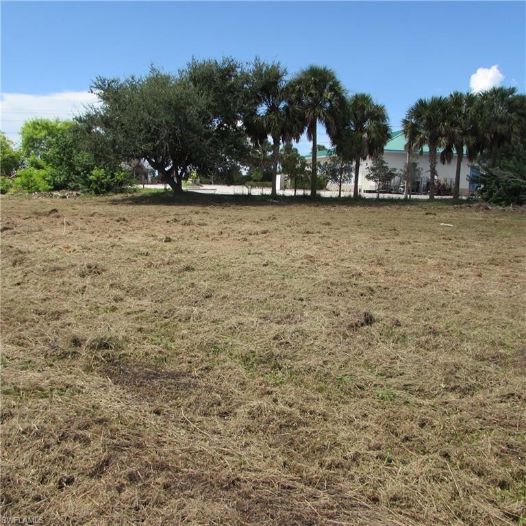 PINE ISLAND CENTER - Land
