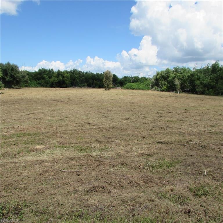 PINE ISLAND CENTER - Land
