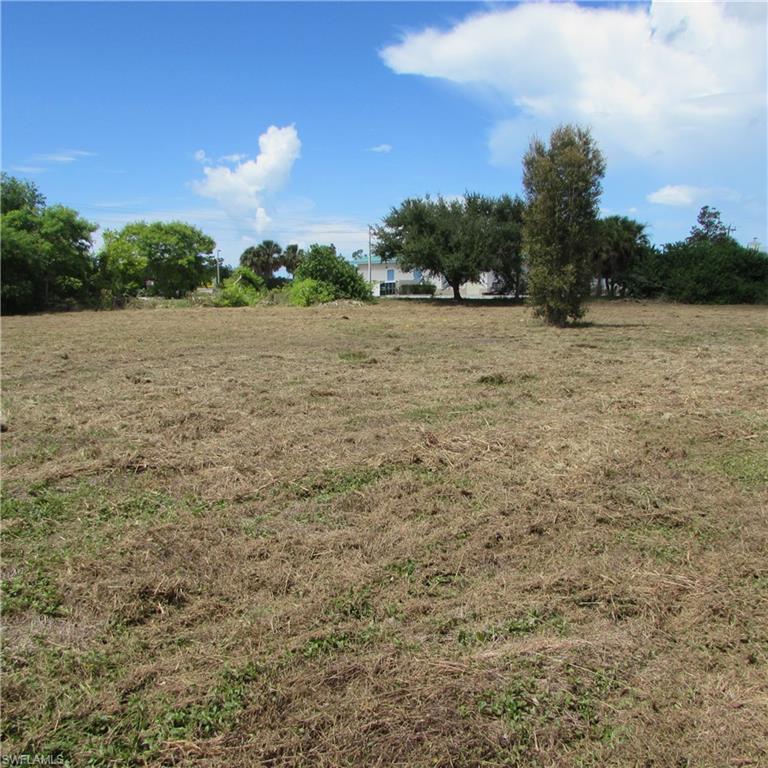 PINE ISLAND CENTER - Land